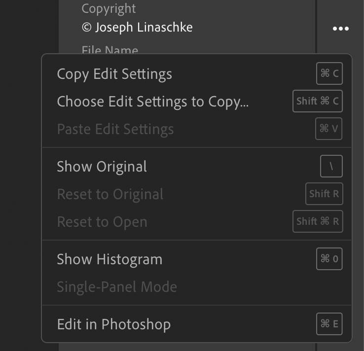 Copy Edit Settings or Choose Edit Settings to Copy