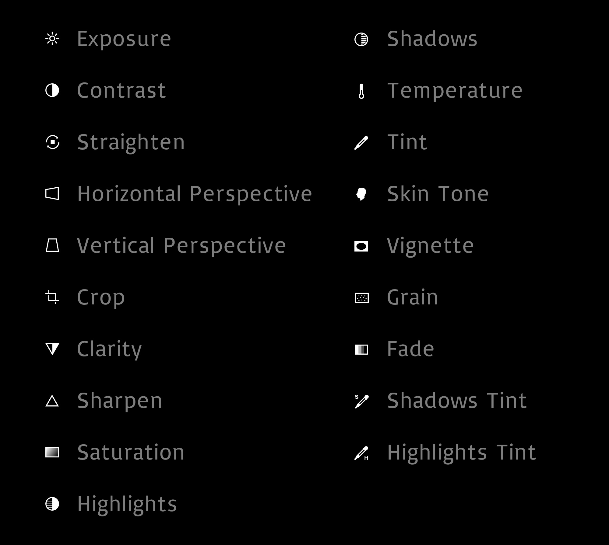 Exposure, Contrast, Straighten, Horizontal Perspective, Vertical Perspective, Crop, Clarity, Sharpen, Saturation, Highlights, Shadows, Temperature, Tint, Skin Tone, Vignette, Grain, Fade, Shadows Tint, Highlights Tint