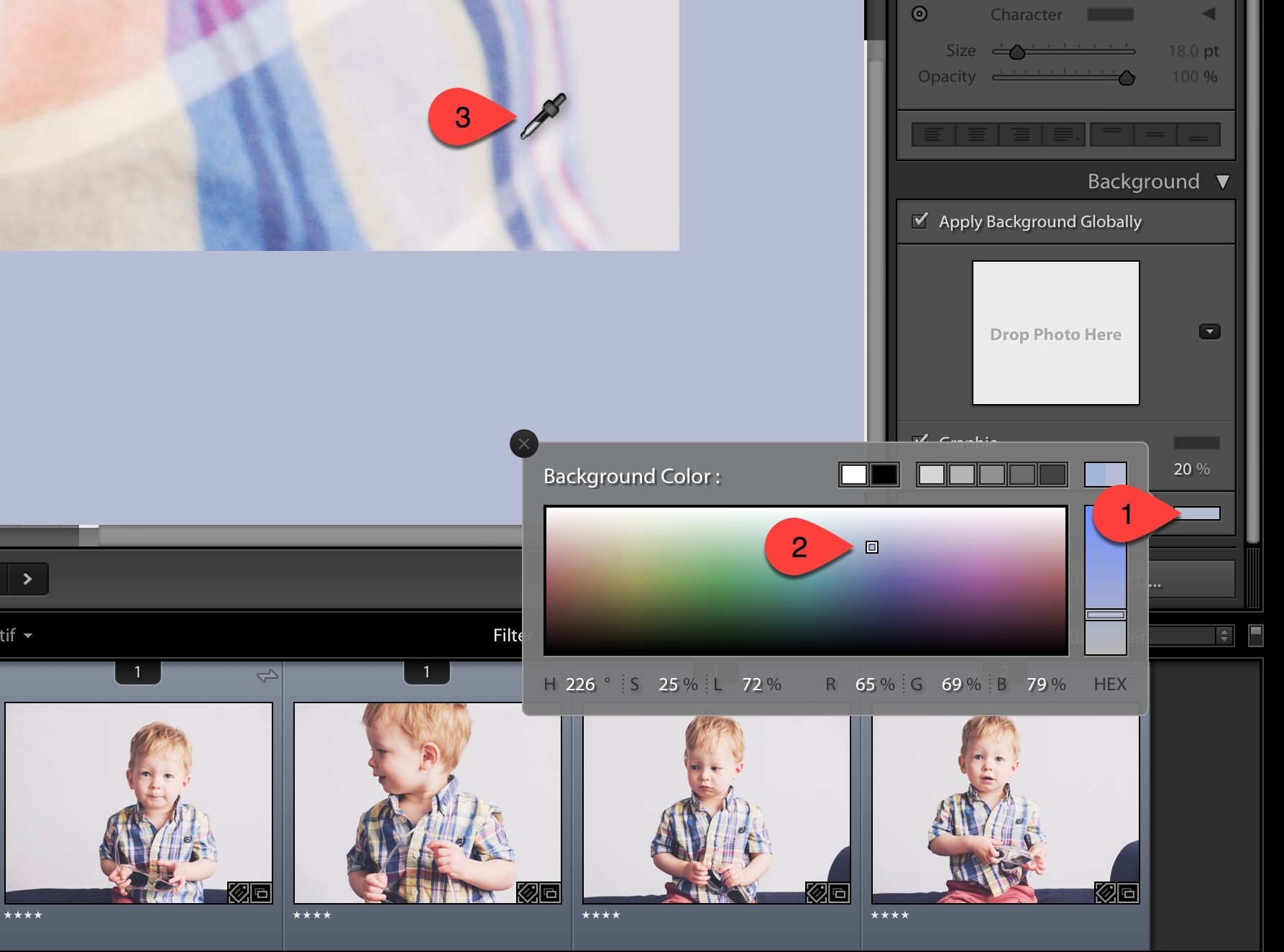 Sampling a Color for the Background or Type from a Photo in a Lightroom  Book Layout 