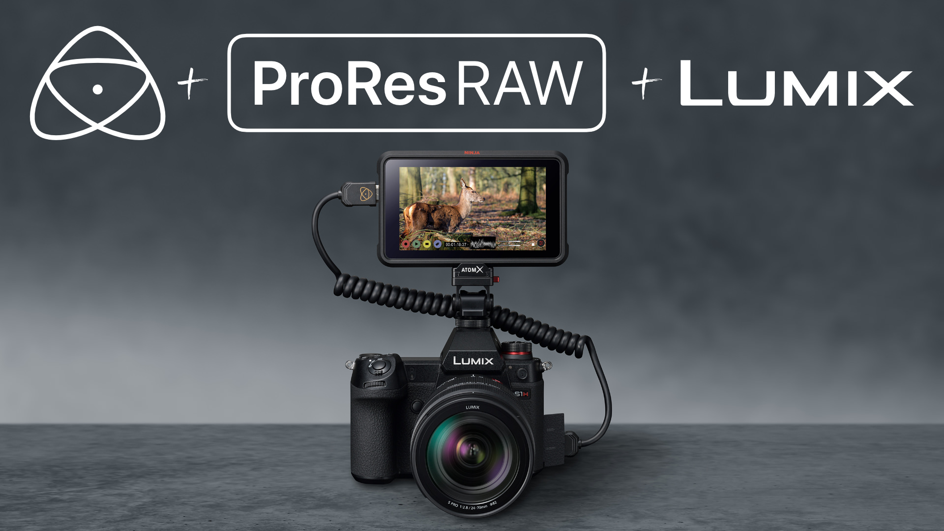 Raw output. PRORES Raw на Atomos Sony. Atomos Ninja 5 меню прошивки. Apple PRORES 4444 4k. Raw Video bm4k.