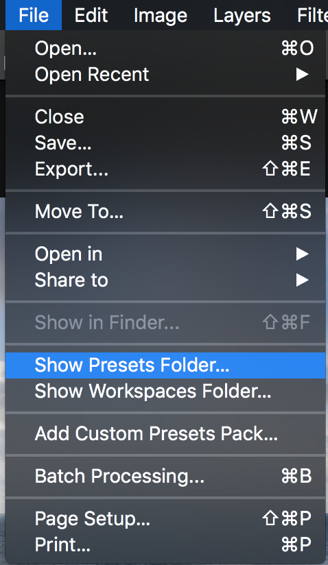 File > Show Presets Folder